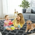 thumbnail image 1 of SHANNA Fluffy Shaggy Area Rug Soft Floor Carpet for Kids Nursery Dorm Bedroom Living Room, 1 of 9