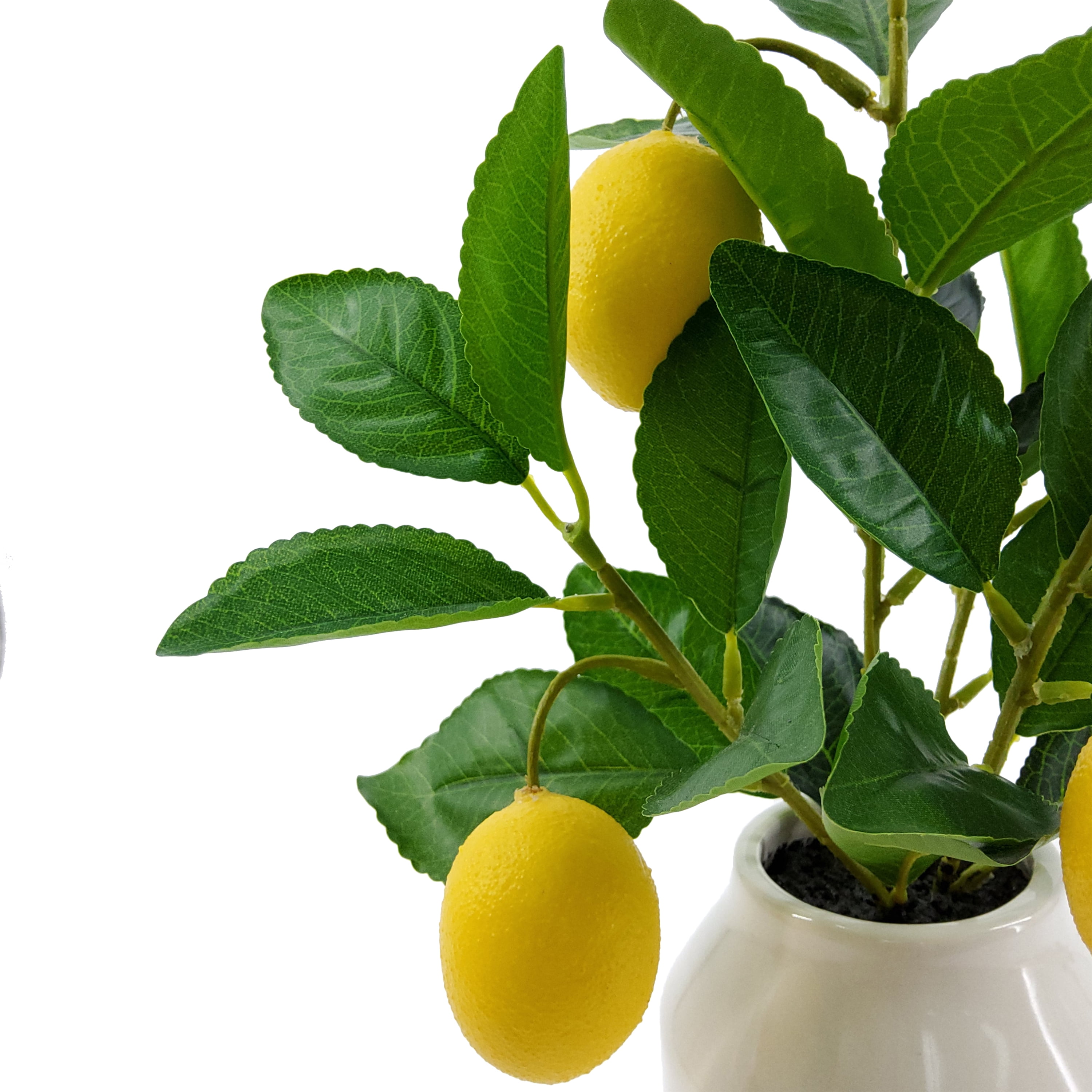 Mainstays by Becky G. & Alejandra 14.5" Artificial Lemon Tree in White Ceramic Vase