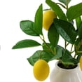 thumbnail image 5 of Mainstays by Becky G. & Alejandra 14.5" Artificial Lemon Tree in White Ceramic Vase, 5 of 8