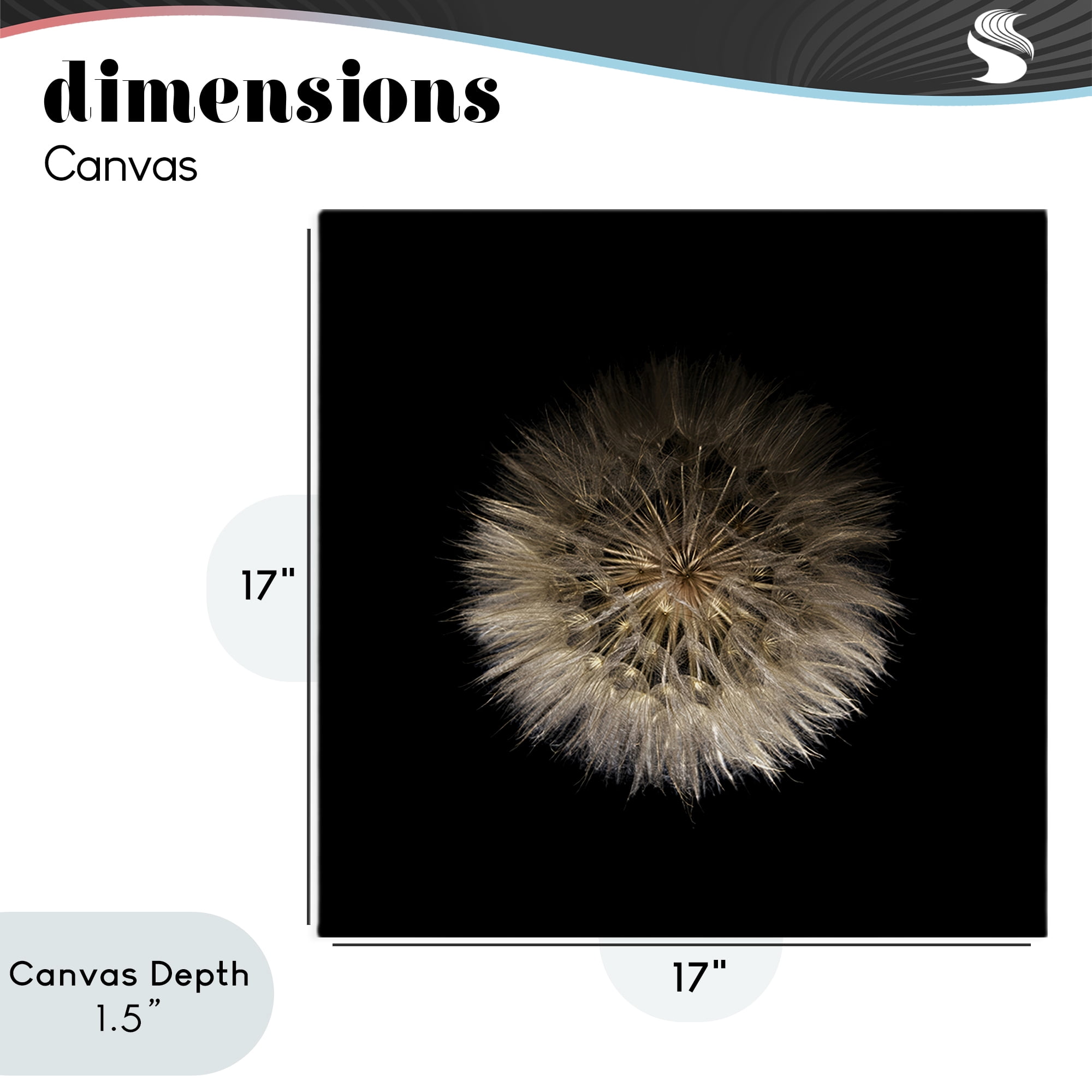 Stupell Industries Wispy Dandelion on Black Canvas Wall Art, design by Beth Adoette