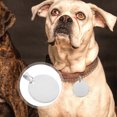 thumbnail image 3 of 10pcs Blank Pet ID Tags Metal Round Dog Tags Titanium Steel Metal Dog Identity Tags, 3 of 9