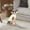 C, variant on Pet Supplies Warm Cozy Knitwear for - Stylish Outerwear Designed for Cold Weather Comfort and Outdoor Winter Adventures