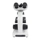 thumbnail image 1 of Kit De Microscopio Binocular 40X-5000X Rotación De 360 ​​Transparente, 1 of 7