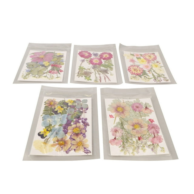 Pressed Flowers, 100 Pcs Resin Flowers for Resin Mold, Assorted Styles Pressed Flowers Dried Flower Kit for Scrapbooking Supplies Card Making Supplies