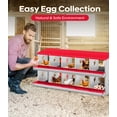 thumbnail image 2 of Yeshouse Nido para gallinas de 6, 8 y 10 agujeros, de acero galvanizado inoxidable, para gallinas, fácil de recoger y limpiar, 2 of 7