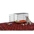 thumbnail image 4 of Prevue Pet Products On-The-Go Single-Door Dog Crate, 24"L x 16-1/2"W x 20"H, 4 of 5