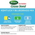 thumbnail image 3 of Scotts Turf Builder Grass Seed Kentucky Bluegrass Mix, 3 of 7