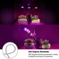 thumbnail image 2 of Luz LED para cultivo de plantas, foco para tuberías, luz para plantas, 5W Sailing Electrónica, 2 of 4