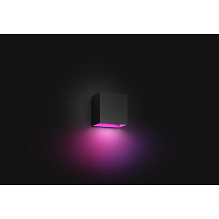Philips - Hue Resonate Outdoor Wall Light - White and Color Ambiance