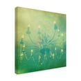thumbnail image 2 of Trademark Fine Art 'Fancy I' Canvas Art by Jennifer Jorgensen, 2 of 4