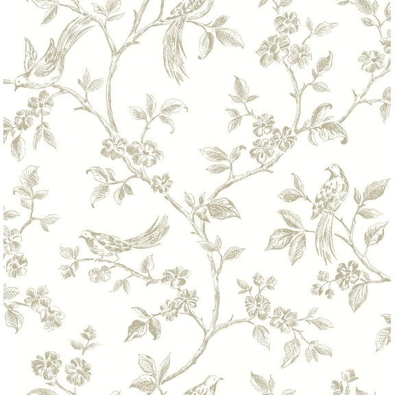 Advantage Ray Taupe Bird Trail Unpasted Non Woven Wallpaper, 20.5-in by 33-ft, 56.4 sq. ft.