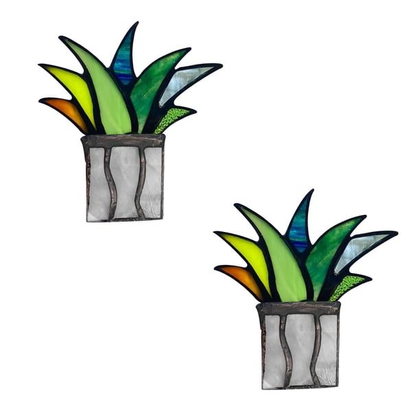 Hot6sl Liquidación de Ahorros de Verano Planta En Maceta Colorida y Aloe Vera Planta En Maceta Decoración