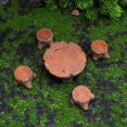 thumbnail image 4 of Landscape Ornament Handicraft Excellent Workmanship Exquisite Resin Craft Garden Miniature Table Chair for Home Desktop, 4 of 10
