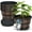 Brown, variant on 10-Inch Whiskey Barrel Planters Outdoor Pack of 2 - Durable Plastic Plant Pots for Indoor & Outdoor Use with Drainage & Saucer, Lightweight Rustic Barrel Planters for Flowers, Herbs & Small Plants