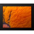 thumbnail image 2 of Grayscale 18x15 Black Modern Framed Museum Art Print Titled - Orange Furry I, 2 of 5