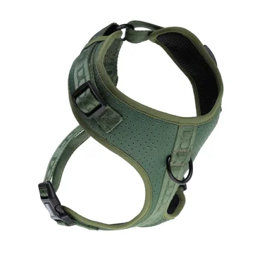 PetSafe 3-in-1 Harness and Car Safety Extra Small Teal No Pull Adjustable Training for Small/Medium/Large Dogs