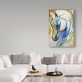 thumbnail image 3 of Trademark Fine Art 'Arabian Abstract' Canvas Art by Marcia Baldwin, 3 of 3