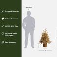 thumbnail image 3 of 3Ft Gold Branches Artificial Christmas Tree with Battery-Op Lights & Gold Pot, 3 of 12
