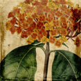 thumbnail image 2 of Vision Studio 15x15 Black Ornate Wood Framed with Double Matting Museum Art Print Titled - Vibrant Floral I, 2 of 4