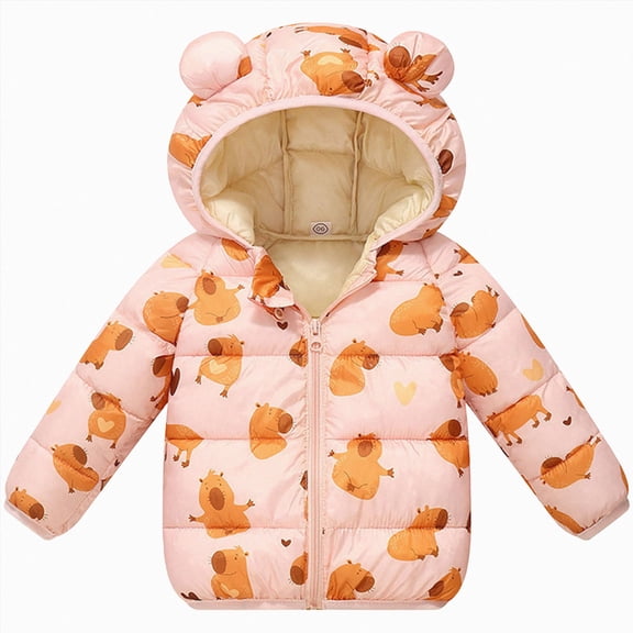 NIEWTR Kids Toddler Boys Girls Hooded Jackets Cartoon Spring Fall Outerwear Windbreaker Zipper Hooded Jackets Coat