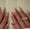 A3, variant on YTTAL Buy 2 Get 1 Free Press On Nails - Short Square Black French Cat Eye Fake Nails, 24Pcs Glossy Dark Brown Glue On Nails for Women