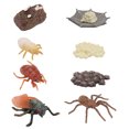 thumbnail image 4 of 2 Ensembles de Modèles de Cercle de Croissance d'Insectes d'Imitation pour la Cognition des Enfants, 4 of 8