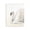 Serene White Swan Portrait, variant on Stupell Industries Transitional White Swan in Repose Black Framed Giclee Art, 11 x 14, by Sara Baker