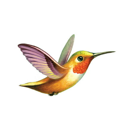 Tattly Temporary Tattoos - Hummingbird - Set of 2 (Best Friend Bird Tattoos)