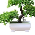 thumbnail image 3 of Seipola Artificial Bonsai Tree-Fake Plant in Pot Artificial Plants,Faux Bonsai Japanese Pine Bonsai Artificial Plants for Home Decor Indoor,Office Zen Garden Décor, 3 of 8