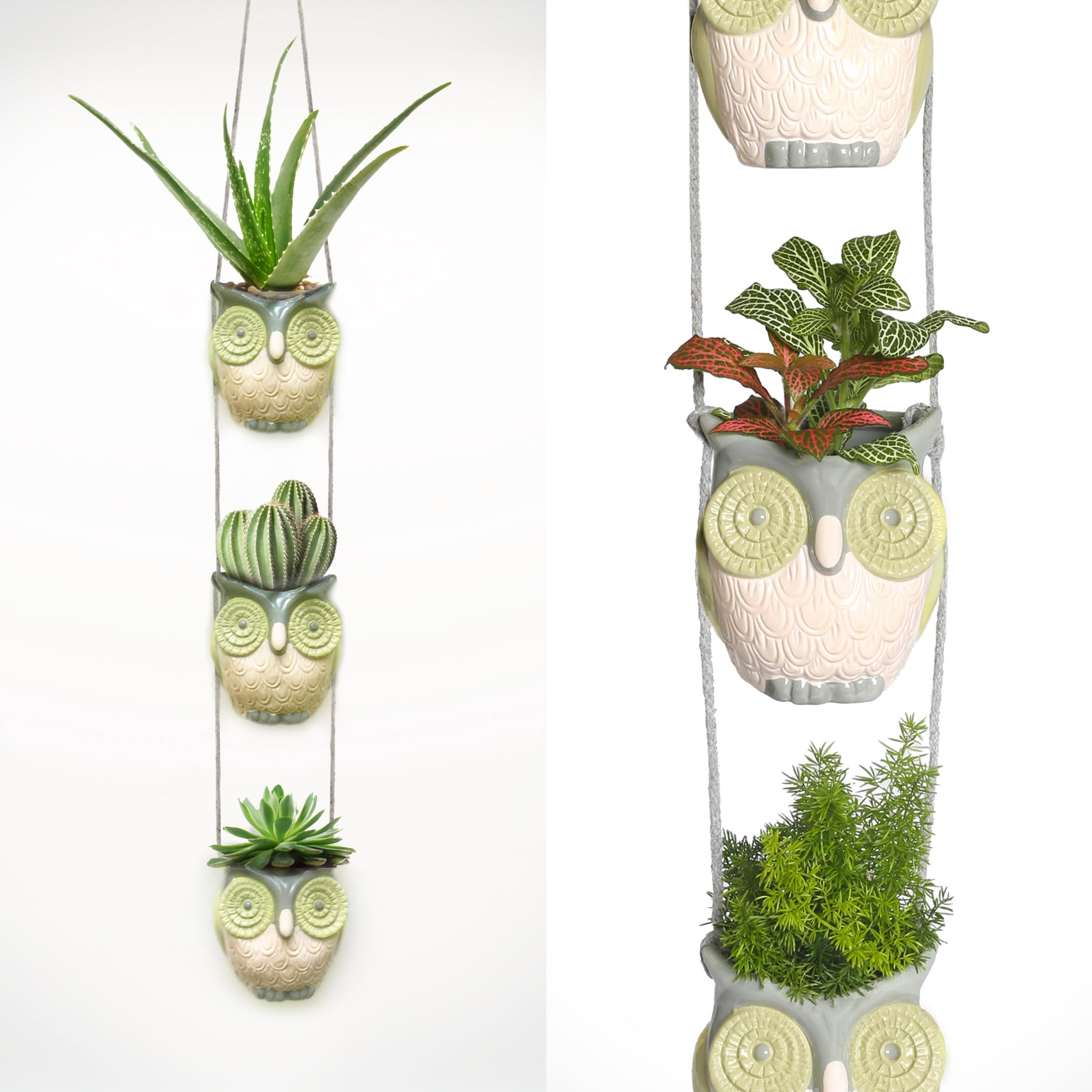 Woodland Jungle Owls. Cool Hanging Succulent Planters for Plants, Flowers & Cactus. Vintage Owl Decor.