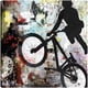 thumbnail image 1 of Cuadro Decorativo - BMX Extremo 2, 1 of 3