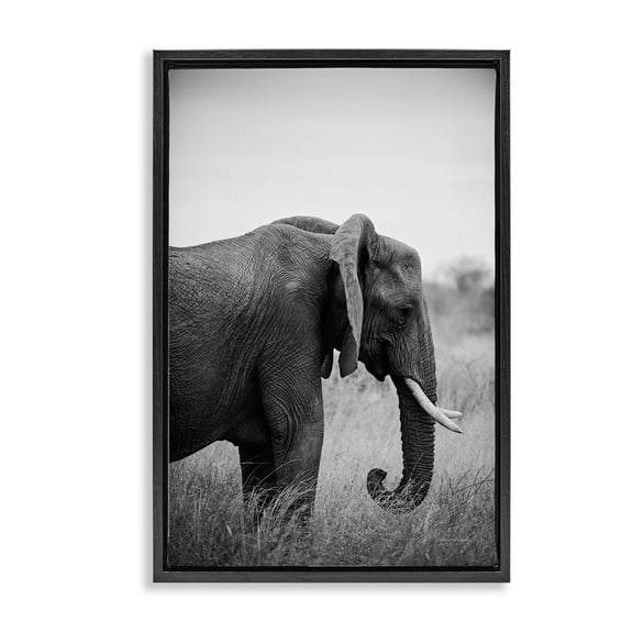 Stupell Industries Side Profile Elephant Animals Photography Black Floater Framed Canvas Art Print Wall Art, 17 x 25