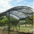 thumbnail image 2 of Agfabric 50% Sunblock Shade Cloth With Clips 12x20ft Black for Plant Cover Greenhouse,Barn,Kennel, Pool, Pergola or Carport, 2 of 6
