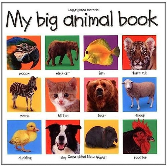 Pre-Owned My Big Animal Book Paperback
