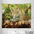 thumbnail image 1 of Zoo Tapestry, Jaguar on Wood Floor Wildlife Animals Feline Big Cat Mammal Predator Resting, Fabric Wall Hanging Decor for Bedroom Living Room Dorm, 5 Sizes, Green Yellow Brown, by Ambesonne, 1 of 1