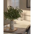 thumbnail image 4 of Tallos artificiales de eucalipto Beferr Greenery, 60 cm, 6 unidades, 4 of 7