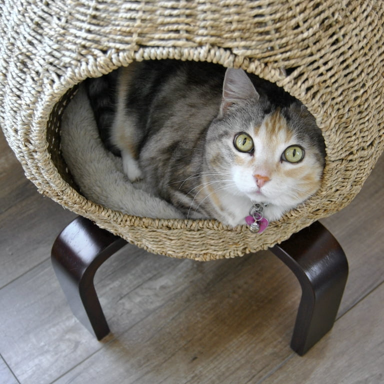 Cat clearance nap pod