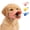 Pink, variant on Dog Anti Bite Duck Mouth, Muzzle for Small Dog