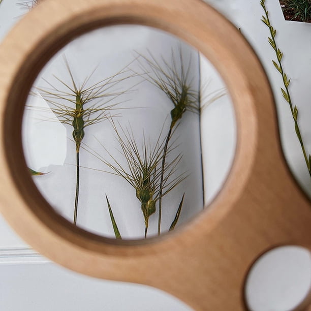 Lupa de mano,Lupa de mano Montessori de madera,Personas mayores leyendo naturaleza el juguete al aire libre,Juego de herramientas para bebés de lente de mano de Baoblaze Lupa de mano