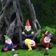 thumbnail image 3 of Gnomos de jardín en miniatura, gnomos de jardín de hadas, figuras, accesorios, gnomos de jardín pequeños, gnomos de exterior, enanos, adornos, 3 of 5