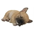 thumbnail image 1 of Chiot Sleeping Pug, 1 of 10
