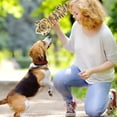 thumbnail image 4 of Pet Toys for Dogs - Squeaky Chewer Toy Set for Small to Large Dogs with Core and - Indoor Outdoor Play, 4 of 6