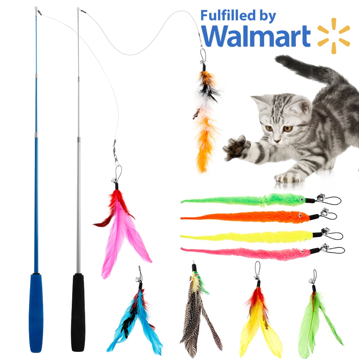 8 x 8 x 12 terrarium