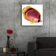 thumbnail image 5 of Epic Art 'New Fish 1' by Olga and Alexey Drozdov, Acrylic Glass Wall Art, 24"x24", 5 of 8