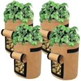 thumbnail image 3 of Perfect Planting Bag, 12 Liter Felt Bags Tomato Planting Bag, (5 Pieces), 3 of 4