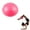 Pink, variant on BESTSKY Exercise Ball,6.3"*6.3"*3.15" Stability Ball,Anti-Slip Texture Birthing Ball,Gray