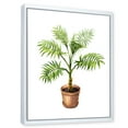 thumbnail image 3 of Designart 'Palm Plant In Clay Flowerpot' Traditional Framed Canvas Wall Art Print, 3 of 5