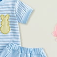 thumbnail image 6 of Kaprioy My First Easter Baby Girl Outfit Girls Clothes Bunny Carrot Embroidery Striped Short Sleeve Shirt Plaid Shorts Set 2Pcs Toddler Summer Clothes, 6 of 7