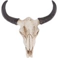 thumbnail image 1 of Escultura de cabeza de toro de cuerno largo de vaca, cabeza de animal de resina, esqueleto de calavera, decoración para colgar en la pared, adornos creativos de Halloween, manualidades para el hogar,, 1 of 5