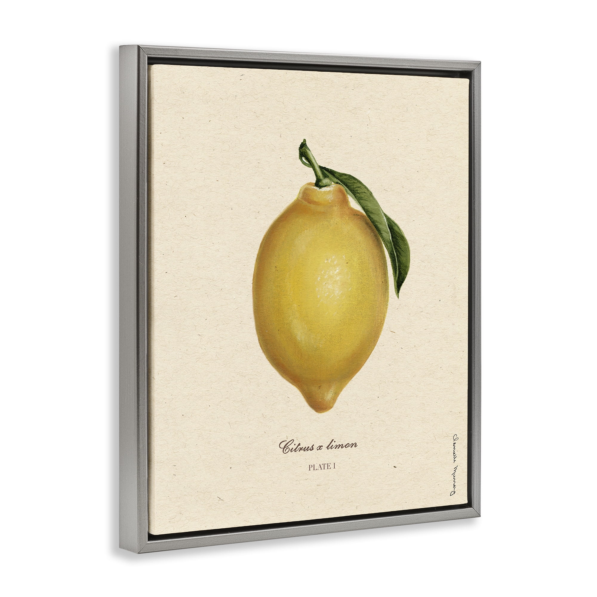Stupell Industries Lemon Fruit Portrait Gray Framed Floater Canvas Wall Art, design by Danielle Murray
